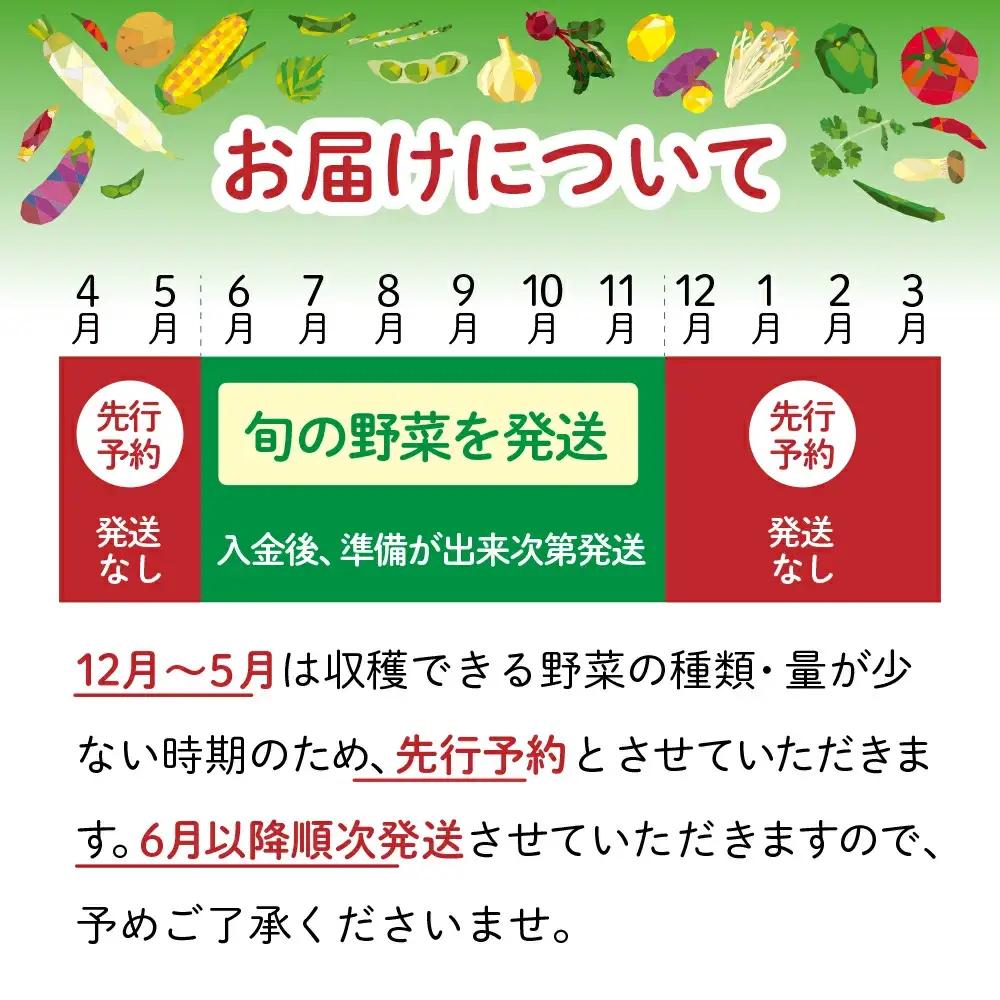 野菜セット 野菜 10種類前後 数量限定