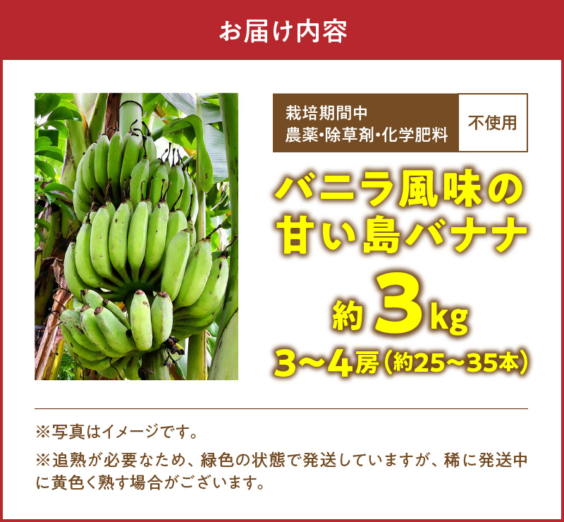 ■ 栽培期間中 農薬・除草剤・化学肥料不使用！バニラ風味の甘い島バナナ 3kg【2025年6月～2025年11月下旬お届け】　W043-001u