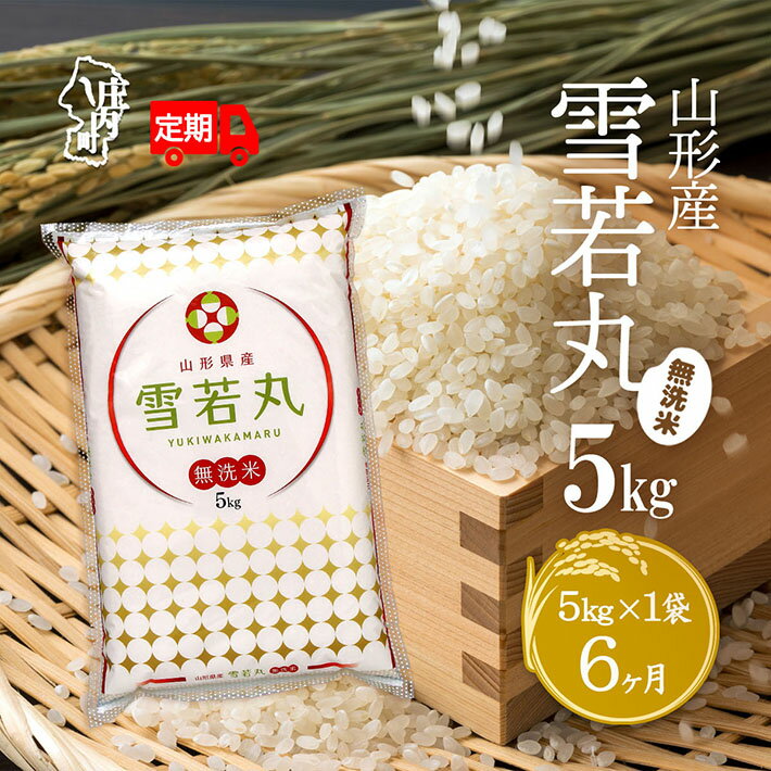 【ふるさと納税】＜10月中旬発送＞庄内米6か月定期便！雪若丸無洗米 5kg（入金期限：2025.9.25） ふるさと納税 米 定期便 山形県 新米受付 新米