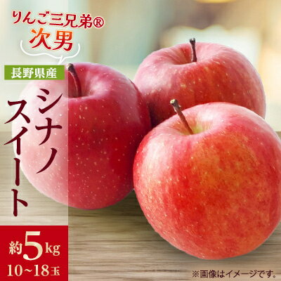 【ふるさと納税】【2025年発送】フルーツ王国 長野県産 りんご　シナノスイート　約5kg(10～18玉程度)【1541939】