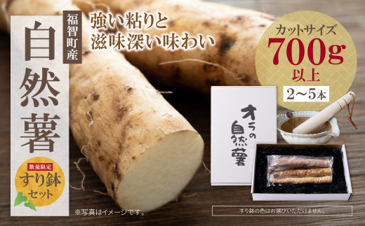 U19-04 オラの自然薯すり鉢セット(カットもの 700g以上) 野菜 グルメ 取り寄せ ご当地 特産 産地 直送人気 オススメ