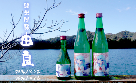 純米吟醸 由良 720ml×2本 300ml×1本 ： 日本酒 ３本セット 辛口 地酒 限定パッケージ 池田酒造 お酒 アルコール 京都 舞鶴 酒 熨斗 ギフト 贈り物 贈答用 プレゼント お歳暮 お歳暮