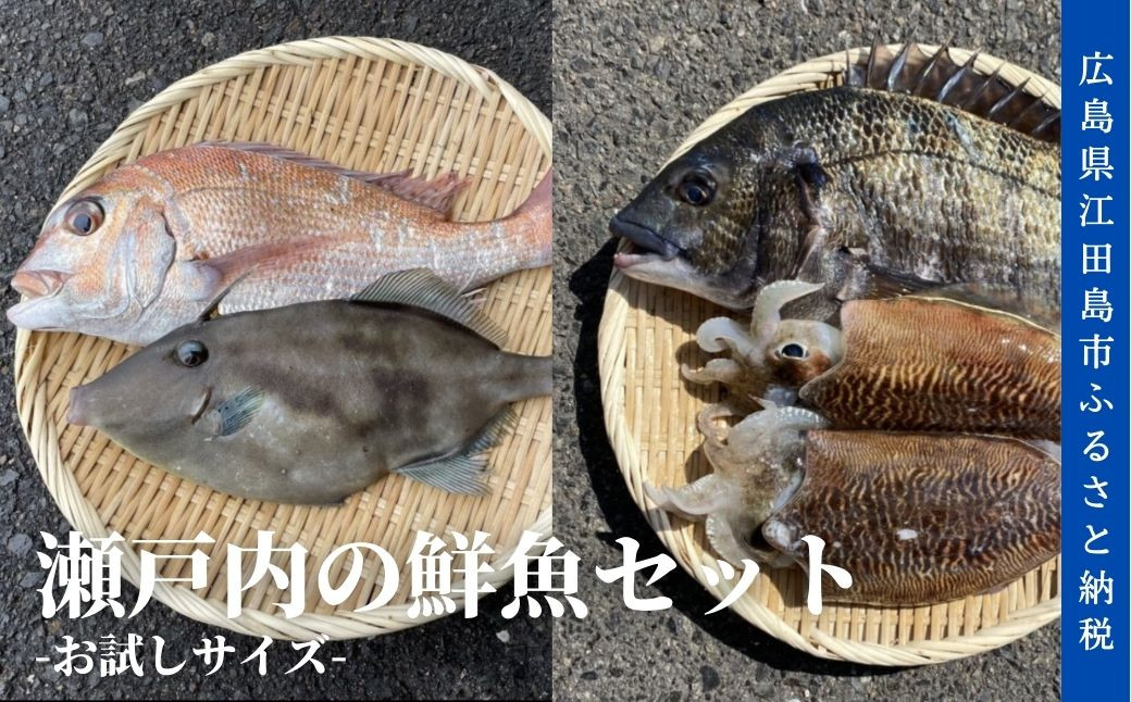 
瀬戸内の鮮魚セット｜お試しサイズ [XBO001]
