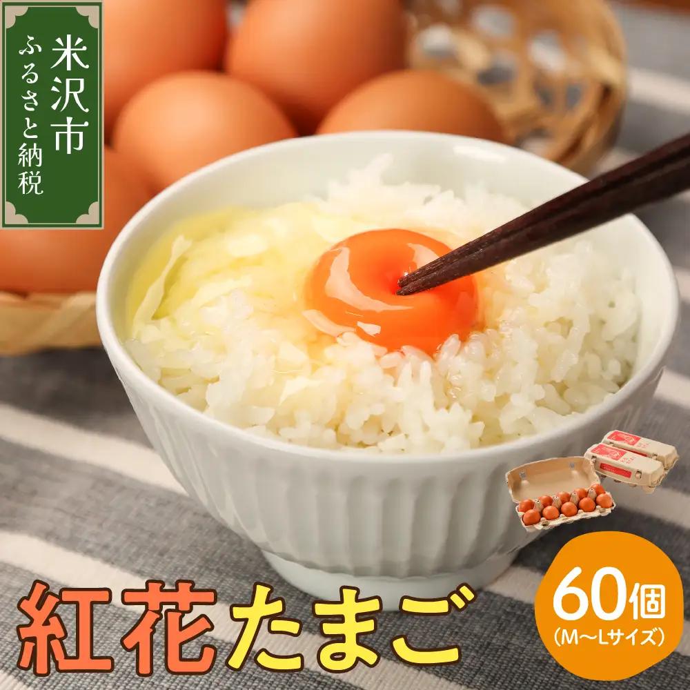 卵 紅花たまご M～Lサイズ 10個×6パック 計60個 卵