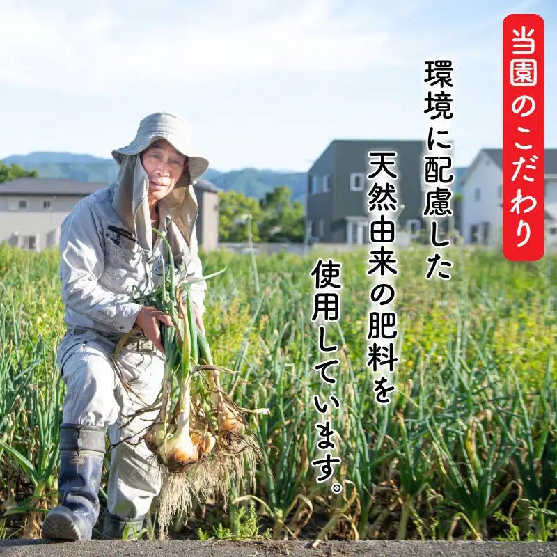 なす 千両なす 白なす 2色 セット 約2kg