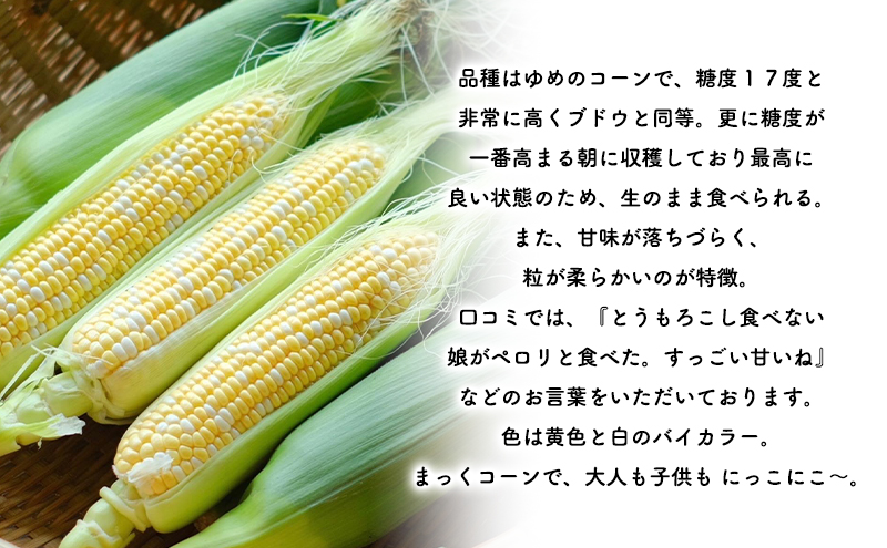 2026年発送 富良野産 生のまま食べれる！とうもろこし まっ