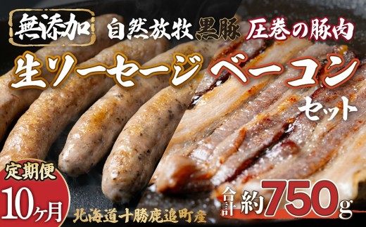 【定期10ヶ月】鹿追産 自然放牧圧巻の黒豚 無添加ベーコン＆無添加ソーセージ 【 ふるさと納税 人気 おすすめ ランキング 黒豚 豚 豚肉 黒豚肉 ソーセージ ベーコン 豚ソーセージ 豚ベーコン 北海道 鹿追町 送料無料 】 SKN072