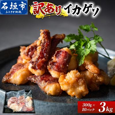 ふるさと納税 石垣市 <訳あり> 石垣島産 セーイカの極上げそ 300g×10パック 加熱用 GK-006