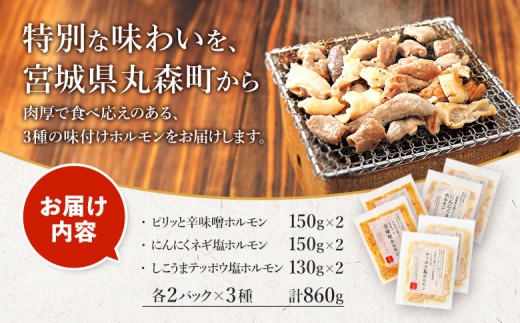 【古今東北】 丸森町大槻ファーム 豚ホルモン3種セット(計860g）