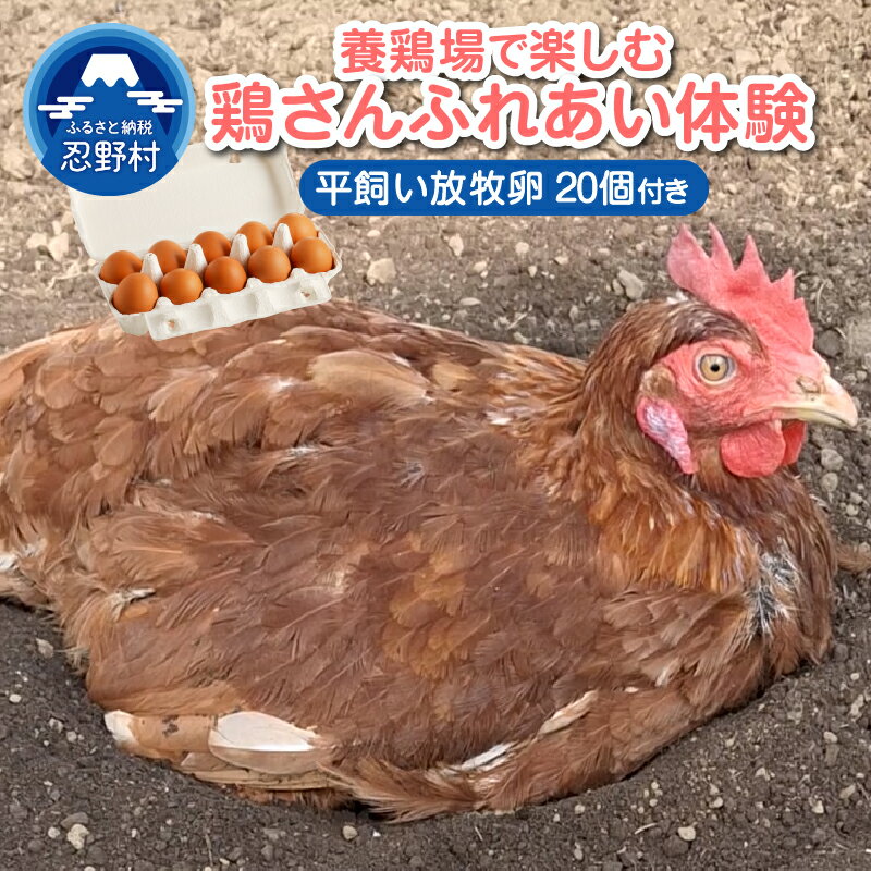 【ふるさと納税】 ふれあい体験 餌やり 触れ合い 体験 たまご 卵 平飼い 放牧 20個 お持ち帰り付き 親子 人気 アニマルウェルフェア認証 一等賞 受賞 濃厚 新鮮 安心 安全 こだわり卵 TKG 朝食 夕食 夜食 卵かけごはん 産地直送 忍野村 山梨県産 送料無料※沖縄県、離島不可