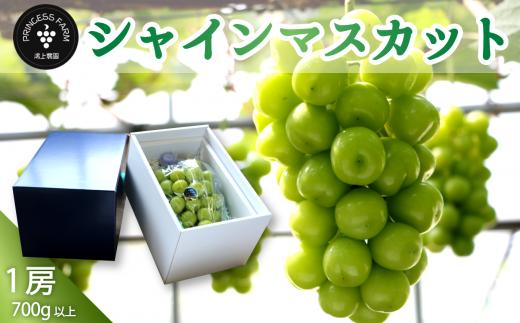 シャインマスカット（1房・700g以上） 2024年9月～10月発送予定　農園直送 産地直送 愛媛県西条市産 シャインマスカット ぶどう