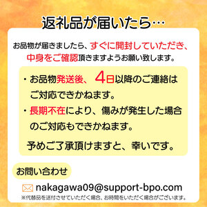 【定期便3回】【2025年先行予約】甘さ抜群のゴールド系 キウイフルーツ 約3kg | 果物 くだもの フルーツ 野菜 やさい ヤサイ キウイ きうい ゴールドキウイ ごーるどきうい 新鮮 フレッシュ