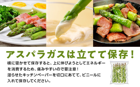 【2026年春発送】 ハウスグリーンアスパラ 1㎏ L～2Lアップ