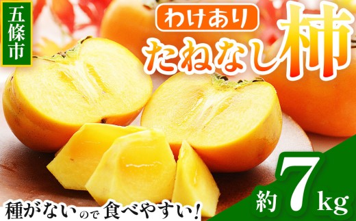 わけあり たねなし柿 約7kg | フルーツ くだもの 果物 柿 かき たねなし わけあり自宅用 家庭用 デザート 人気 国産 産地直送 奈良県 五條市