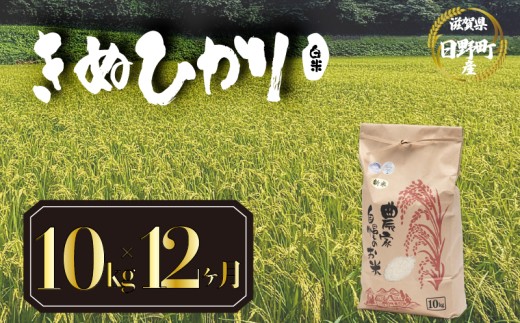 【 令和8年産 米 10kg 定期便 12ヶ月 】 きぬひかり 米 白米 国産 滋賀県 日野町 農家直送 お米 おこめ こめ 産地直送 ふるさと納税