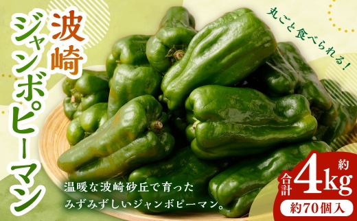 AY-2 丸ごと食べられる！波崎ジャンボピーマン　4kg（約70個入り）野菜 やさい ピーマン おかず 炒め物 丸焼き 国産