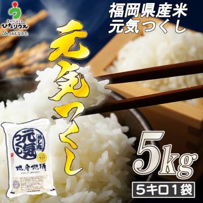 ふるさと納税 行橋市 JAよりお届け!福岡県ブランド米「元気つくし」5kg (行橋市)