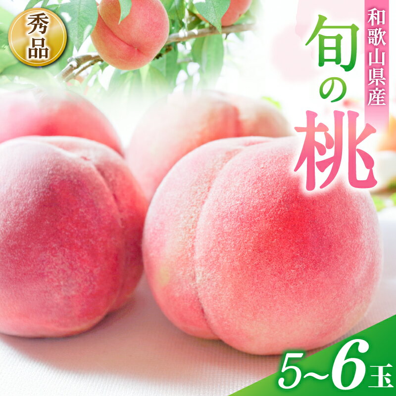 【ふるさと納税】 桃 和歌山県産 旬の桃 5〜6玉 秀品 【2026年6月下旬から8月上旬頃発送】 桃 もも モモ 果物 くだもの フルーツ 先行予約 白鳳 清水白桃 川中島白桃 人気 和歌山の桃 数量限定 お取り寄せ かつらぎ町 送料無料 【MG33】