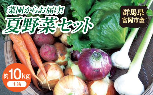 
            菜園からお届け！夏野菜セット 約10kg F20E-482
          