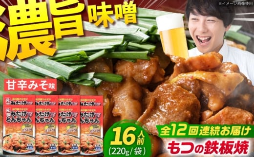 【12回定期便】 岐阜県産豚もつの鉄板焼き「元祖みたけとんちゃん」甘辛みそ味 8袋（16人前） / モツ もつ 白もつ ホルモン / 御嵩町 / 藤よし [AVAA075]