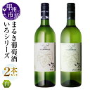 【ふるさと納税】 ワイン 白 まるき いろシリーズ 750ml 2本 セット いろ甲州 いろグラン甲州 やや辛口 辛口 甲州 まるき葡萄酒 白ワイン 飲み比べ 記念日 ギフト 山梨県 甲州市 （MG） 【B13-657】