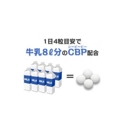 ふるさと納税 富山市 DHC カルシウム+CBP 30日分　12個セット(360日分) |  | 03