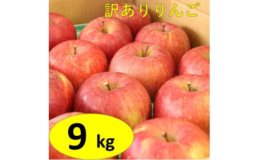 【訳あり】サンふじりんご　9kg