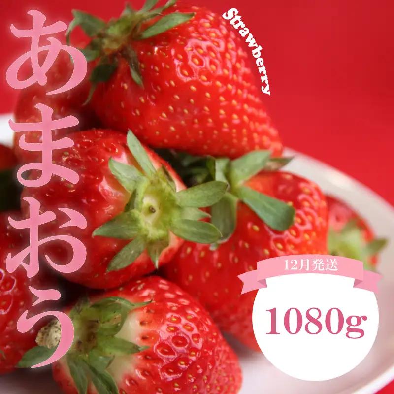 【2026年12月発送】 苺 あまおう 1080g (270g×4P) いちご ｜あまおう 福岡県産 福岡 川崎 OKI