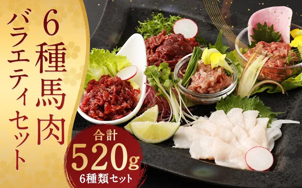 6種 馬肉バラエティ 約520g