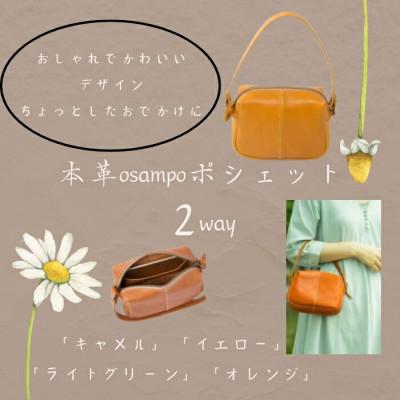 ふるさと納税 奈良市 本革osampoポシェット(2way) ライトグリーン 32-008-3 |  | 01