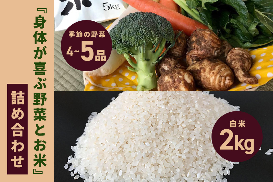 
            ＜白米 2kg＞『身体が喜ぶ野菜とお米』詰め合わせ おまかせセット 茨城県産 コシヒカリ 米 お米 ご飯 ごはん 栽培期間中農薬不使用 季節の野菜 セット 微生物農法 EM農法 有機栽培 産地直送 新鮮 家庭用 潮来はぐくみのもり 茨城県 潮来市 (A03-006)
          