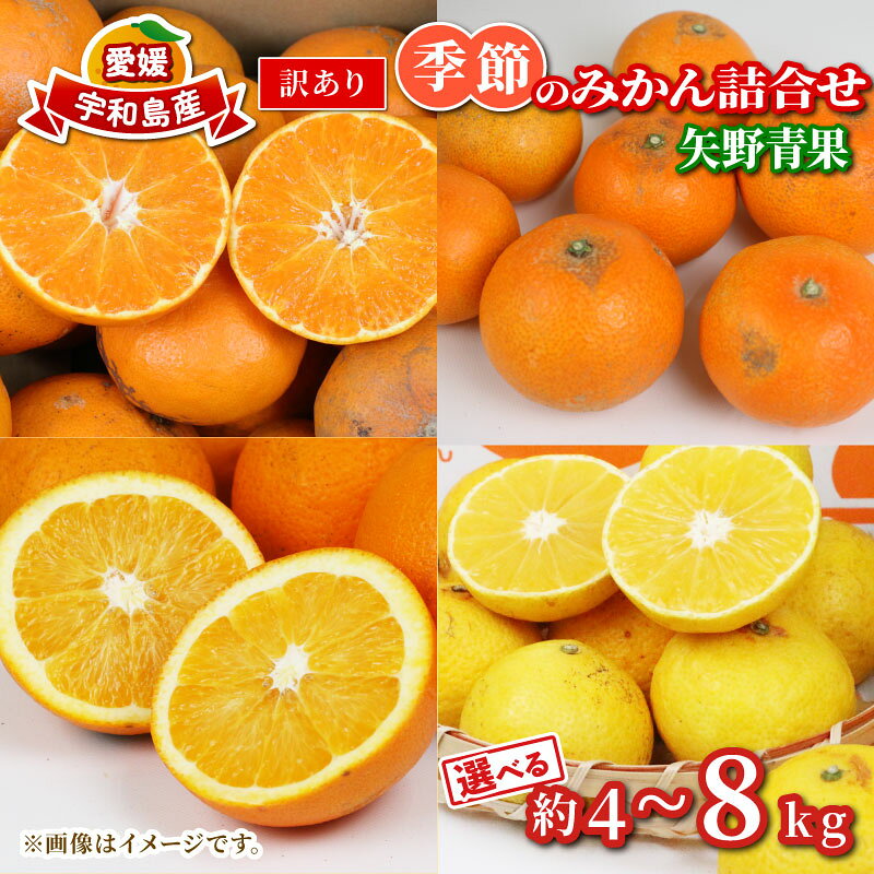 【ふるさと納税】 訳あり 季節 の みかん 詰合せ 選べる 容量 4kg ~ 8kg 矢野青果 フルーツ 詰め合わせ セット 柑橘 ミカン 蜜柑 mikan 果物 くだもの 愛媛みかん 愛媛蜜柑 濃厚みかん 産地直送 数量限定 国産 愛媛 宇和島