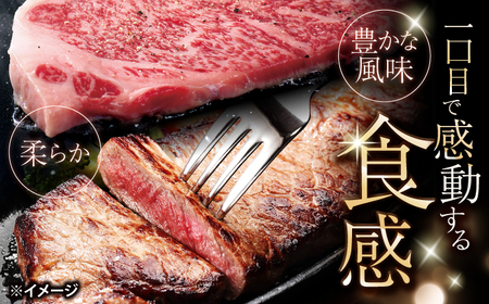 長崎和牛 サーロイン ステーキ 約1kg（5枚）＜大西海ファーム食肉加工センター＞[CEK193]