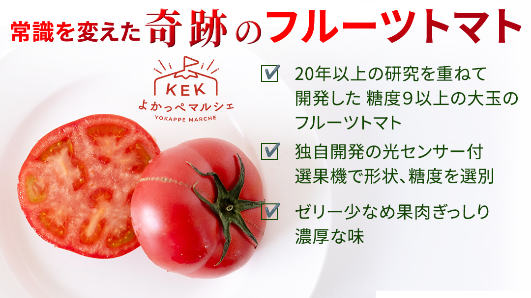 《 2027年 収穫分 》 訳あり スーパーフルーツトマト 大箱 約2.6kg × 1箱 (20～35玉/1箱) 糖度9度以上 先行予約 茨城県 桜川市 KEK 国産 トマト フルーツトマト ブランド