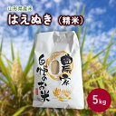 【ふるさと納税】【2024年11月～発送】令和6年産 はえぬき ( 精米 ) 5kg 米 白米 クリーン白米 山形 送料無料 産地直送 お取り寄せグルメ 山形県 上山市 0030-2420