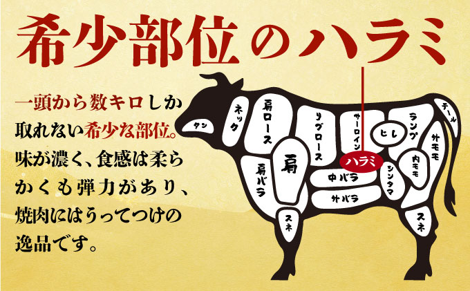 ヤマジュウの特製タレ漬け！牛ハラミ肉５００ｇ【３回定期便】 頒布会