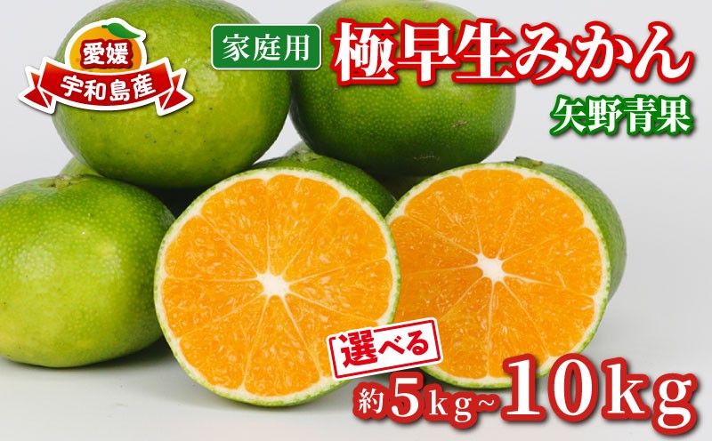 
            家庭用 極早生 みかん 選べる 容量 5kg ~ 10kg 矢野青果 温州みかん 果物 くだもの フルーツ 柑橘 蜜柑 愛媛蜜柑 愛媛みかん 愛媛ミカン mikan 産地直送 数量限定 国産 愛媛 宇和島
          