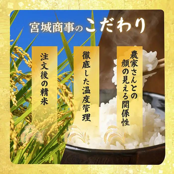 ≪令和7年産≫ つや姫 精米 10kg(10kg×1袋) 登米市産 米 お米 おこめ ごはん ご飯 白米 おにぎり お弁当 10kg 【宮城商事株式会社】tm467