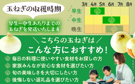  国産玉ねぎ 4kg 玉ねぎ【4月下旬～6月下旬頃に順次発送予定】