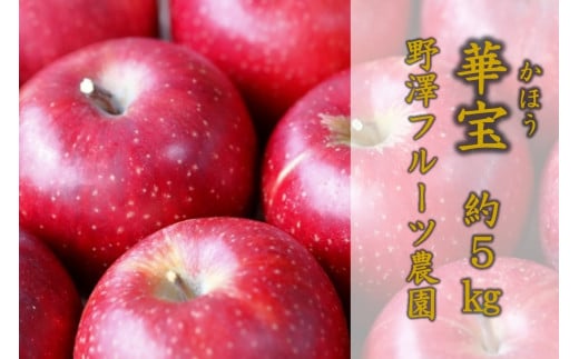 446 先行予約【贈答用】りんご 華宝5㎏【野澤フルーツ農園】
