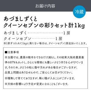 泉州ぶどう あづましずくとクイーンセブンの彩りセット【065D-017】