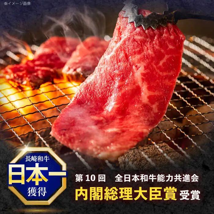 【6回定期便】長崎和牛 焼肉用 赤身スライス600g (モモ・ウデ 各300g)[OCE098]