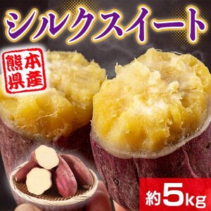 熊本県産 さつまいも シルクスイート 約5kg(益城町)【1613655】