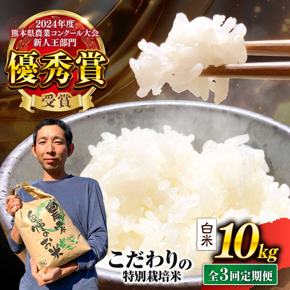 【ふるさと納税】【先行予約】 【令和7年度】 【全3回定期便】 くまさんの輝き 白米 10kg 計30kg（2025年10月下旬ごろ順次発送）米 こめ 白米 ご飯 ごはん コメ お米 精米 熊本県産 産地直送【坂本農園】[AYCC006]