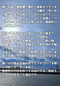 播磨町産活け〆はりだこ 3匹 タコ 海鮮 魚介類 瀬戸内 兵庫県 播磨町