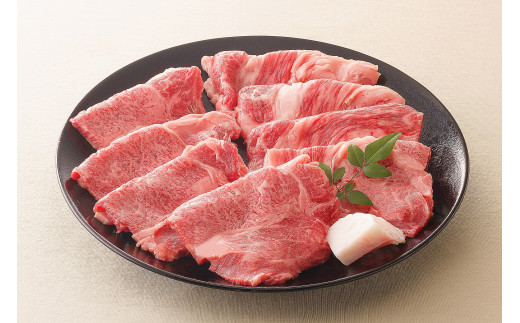 
飛騨牛 肩 ロース 大判焼肉 500g【59E1205】
