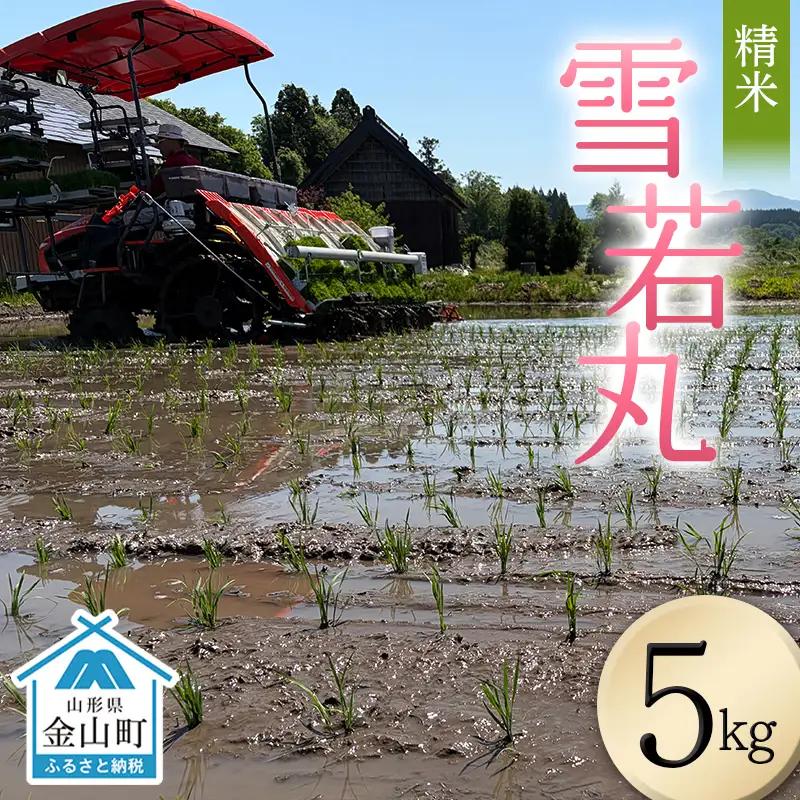 ＜先行予約＞令和8年産【精米】雪若丸5kg（マイスター監修） 米 お米 白米 ご飯 ブランド米 山形 金山町 F4B-0769
