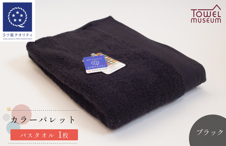 カラーパレット バスタオル1枚（ブラック） タオル美術館【I001730BT1BK】