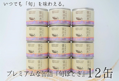 缶詰工場直送　伝統のさば缶「旬ほとぎ」醤油煮12缶【B2-113】