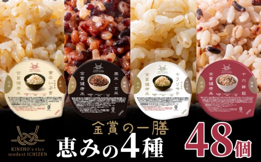 ご飯パック 金賞 健康米 食べ比べ 恵みの4種セット 黒米 金のいぶき キラリモチ 十六雑穀 120g×48個入り 国産 レンチン もち麦 軽食 夜食 簡単 白米 麦 食物繊維 ビタミン 御飯 ごはん パック ご飯 パックライス